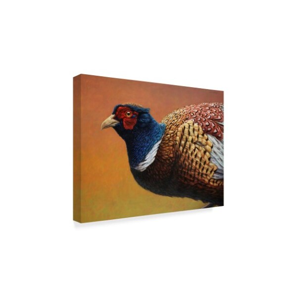 James W. Johnson 'Pheasant' Canvas Art,24x32